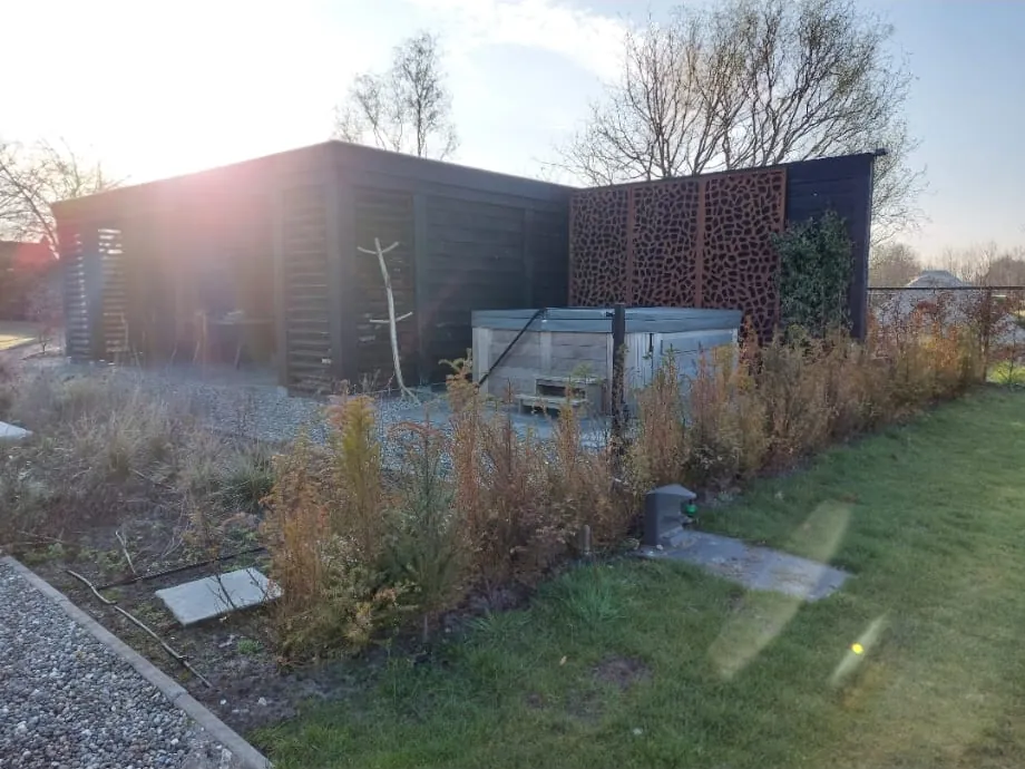 Achtertuin met een bruine, afgestorven haag langs het gazon voor een houten schuur